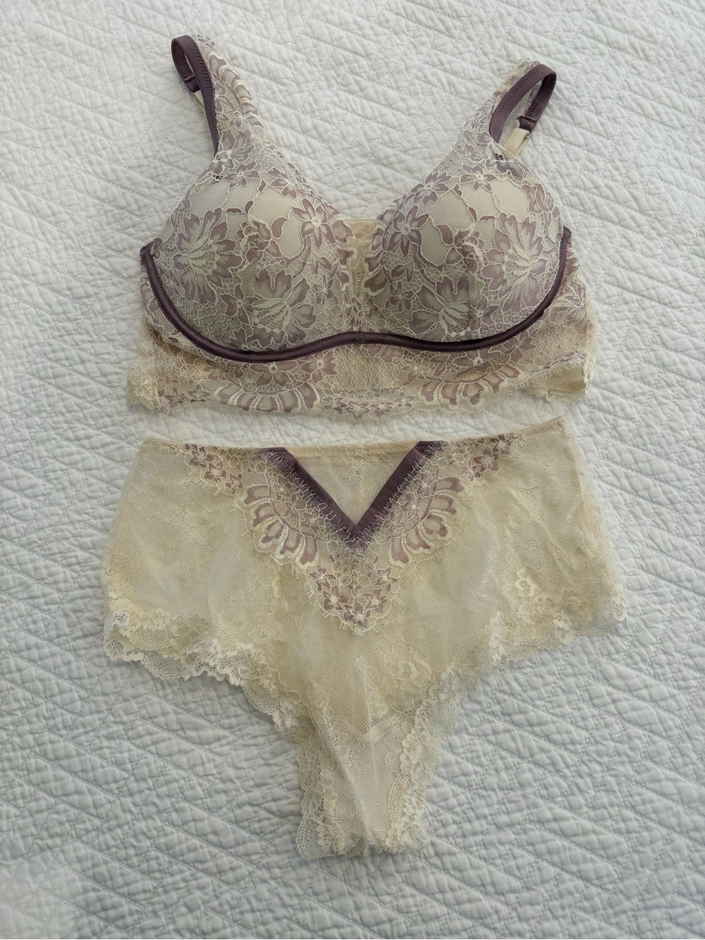 NWT intimissimi Cream Lace Bra and Brief Set with Mauve Accents